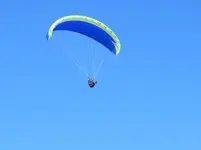 IMG_4370v.jpg