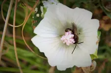 DSCF7319 (2).webp