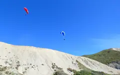 IMG_4350 v.jpg