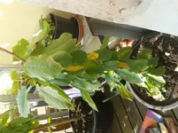 20160914_101845.webp