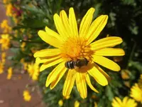 DSCI0344.webp
