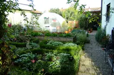 DSCF2575.webp