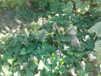 20160914_174642.jpg