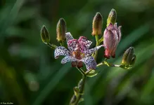IMG_6637-2.webp