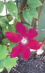 alles 038.webp