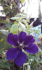 alles 039.webp