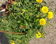 alles 041.webp