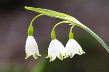 2016-05-04-8089 - Kopie.webp
