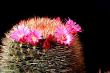 2016-05-15-8476 - Kopie.webp