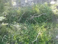 20160914_174814.jpg