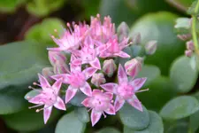 DSC_4610.webp