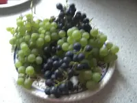 BILD5852.webp