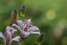 IMG_6791-2.webp