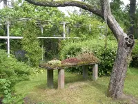 IMGP7869.webp