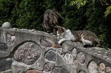 IMG_6284-2.webp
