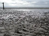 IMGP9785.webp