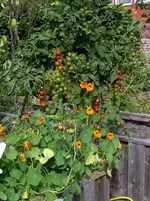 IMGP9869.webp