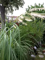 01_20160917_111328_resized.webp