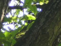 BILD5803.webp