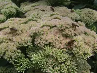 BILD5771.webp