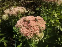 BILD5776.webp
