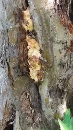 20160912_134222.webp