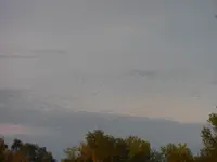 P1230886.webp