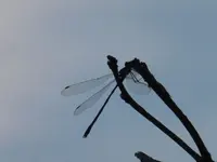 P1230780.webp