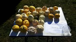 20160918_105752.jpg
