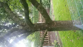 1474192487230-2082278764.webp