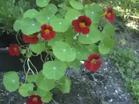 BILD5737.webp