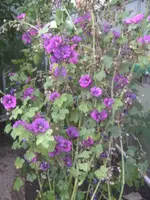 BILD5784.webp