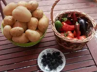 P9170311.webp