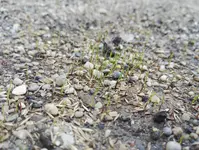IMG_20160913_144815.jpg