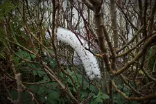 DSCF7410 (2).webp