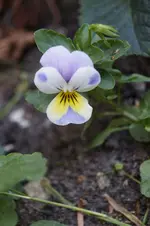 _DSC1072.webp