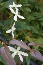 _DSC1065.webp