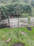 IMG_20160919_125537.jpg