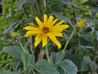 DSC07928.webp