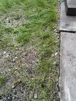 IMG_20160919_163456.jpg
