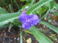 010.webp