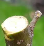 20160920_082803.jpg