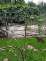 20160920_081432.jpg