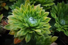 DSCF7409 (2).webp