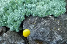 DSCF7408 (2).webp