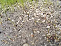IMG_20160920_104510.webp