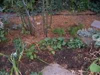 DSCF5073.webp