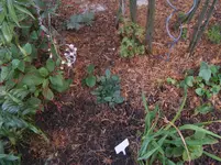 DSCF5080.webp