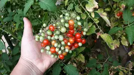20160920_170727.jpg