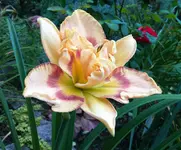 IMG_20160920_210230.webp